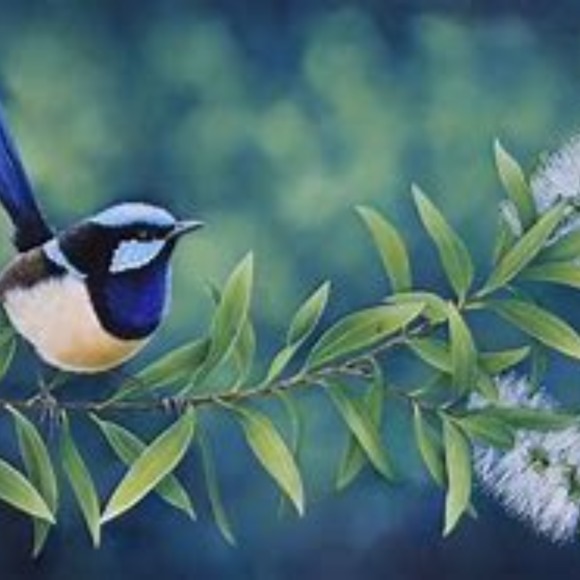 houuseofwren